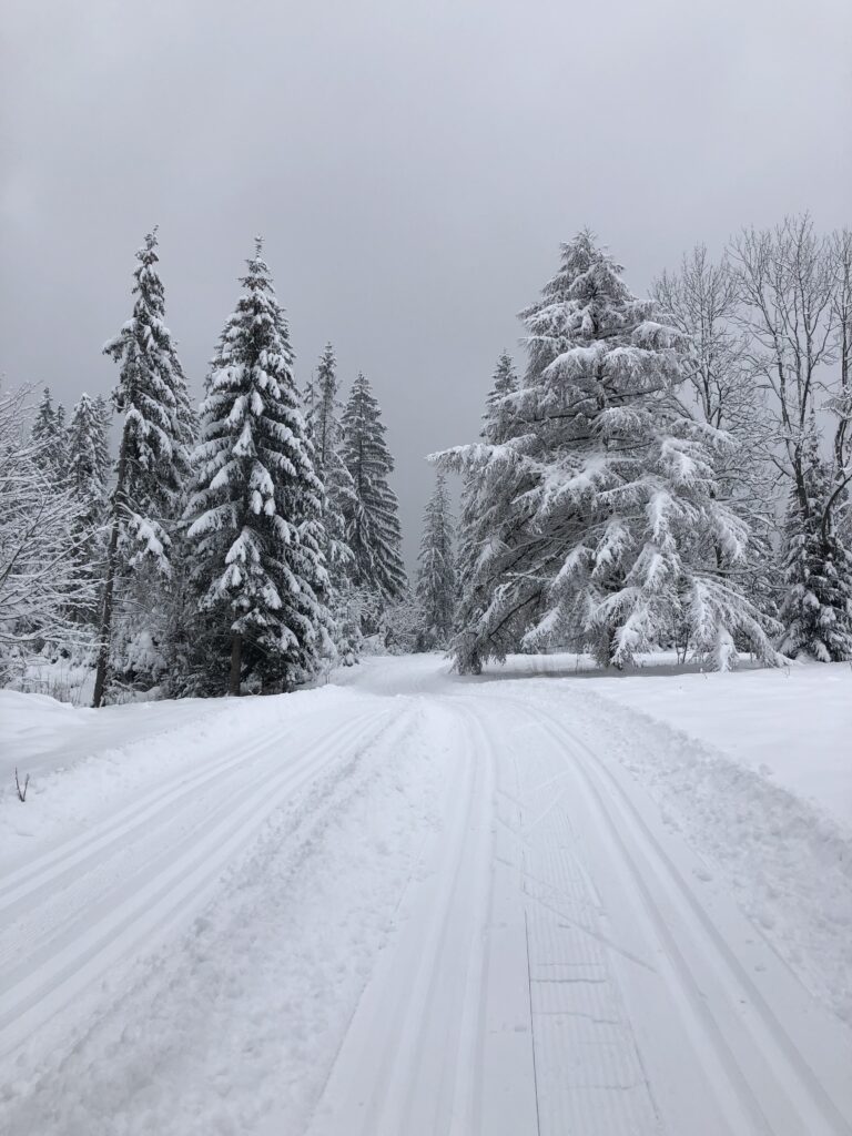 biegówki kościelisko