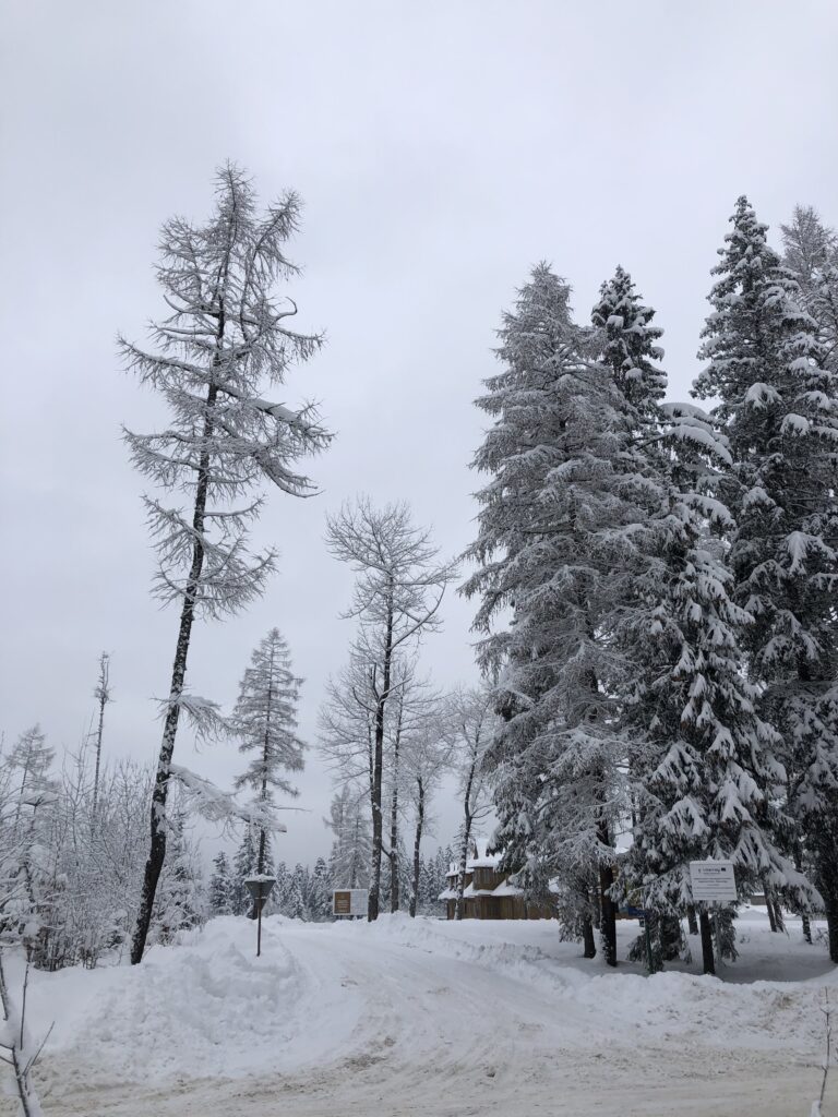 biegówki kościelisko